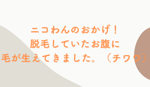 Vol.29　ニコわんのおかげ！脱毛していたお腹に、毛が生えてきました。（アモちゃん/チワワ/1歳）