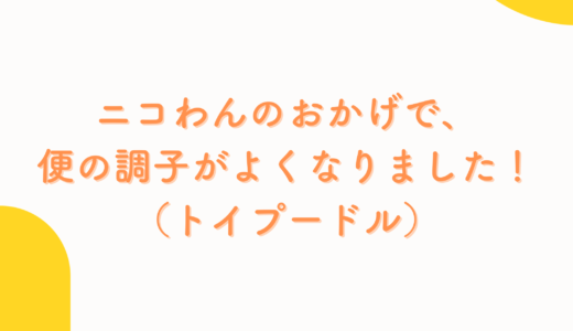 Vol.31　ニコわんのおかげで、便の調子がよくなりました！（かのんちゃん/　トイプードル/6歳）